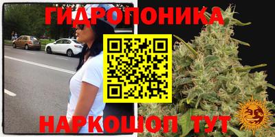 jwh Бугуруслан