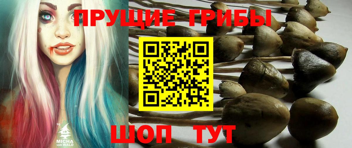 Сальск  Галлюциногенные грибы ЛСД  Вход с VPN 